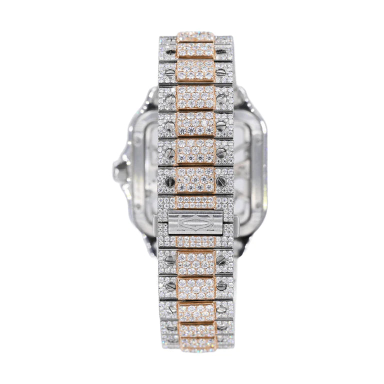 Moissanite Watch CA